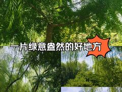 -莲花池公园
