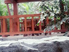 -龙达温泉生态城