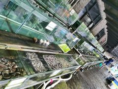 -钱大妈海鲜饭店(保利林语店)