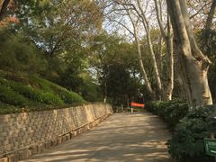 -菊花台公园