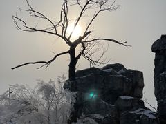 -雾凇岛