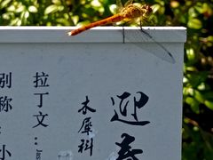 -翠湖国家城市湿地公园
