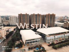 -厦门威斯汀酒店