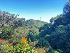 -广州市帽峰山景区
