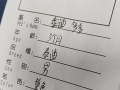 -申普宠物医院·心脏介入·心血管微创(总院)