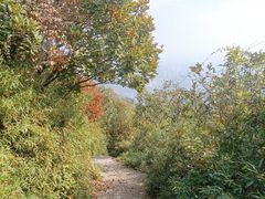 -杭州半山国家森林公园