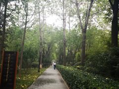 -唐城墙遗址公园