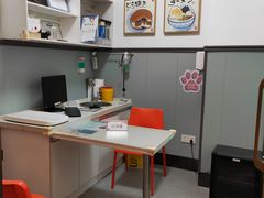 -伟伟宠物医院·瑞派猫友好医院·猫科(光谷店)