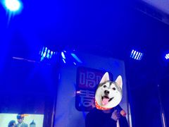 -唱吧麦颂KTV(松江五龙商业广场店)