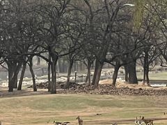 -北京麋鹿生态实验中心