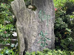 -十八棵（老龙井）御茶园(老龙井店)