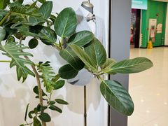 -易改衣·专业衣物奢护中心(珠江新城猎德店)