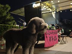 -黑石礁公园
