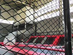 -莱茵体育生活馆