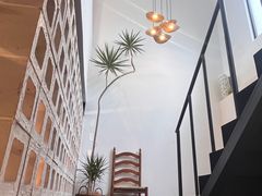 -自由生长植物工作室(深港花卉中心店)