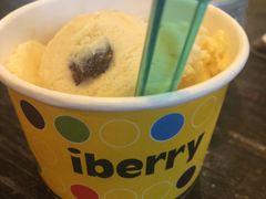 -莓园冰淇淋店