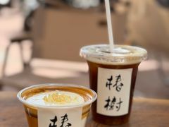 -椿树咖啡