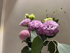 -晶雅花园西餐厅(南京首店)