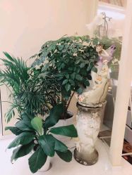 -新蝶变皮肤管理中心