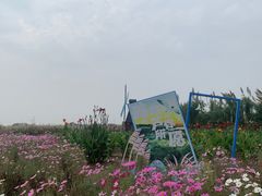 -宁波杭州湾国家湿地公园
