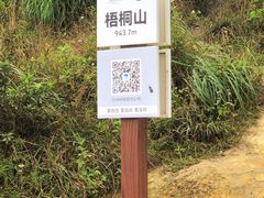 -梧桐山风景名胜区