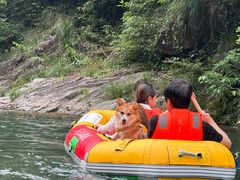 -安吉龙王山峡谷漂流