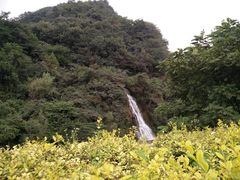 -陕西省红河谷森林公园
