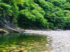 -黑河国家森林公园