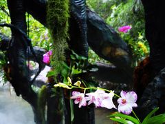 -古龙峡云天玻霸