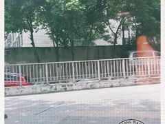 -神仙树公园