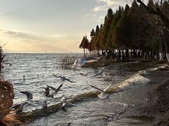 -捞渔河湿地公园
