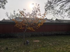 -莲池书院博物馆