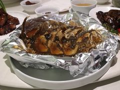 -蝶园·装修中(BFC外滩金融中心店)