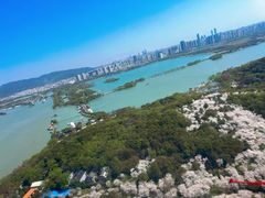 -蠡湖中央公园