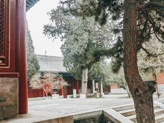 -大钟寺古钟博物馆
