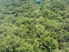 -天津盘山风景名胜区