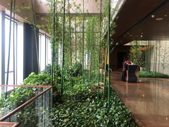 门面-广州富力君悦大酒店空中花园