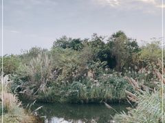 -眉山湿地公园(东坡区)