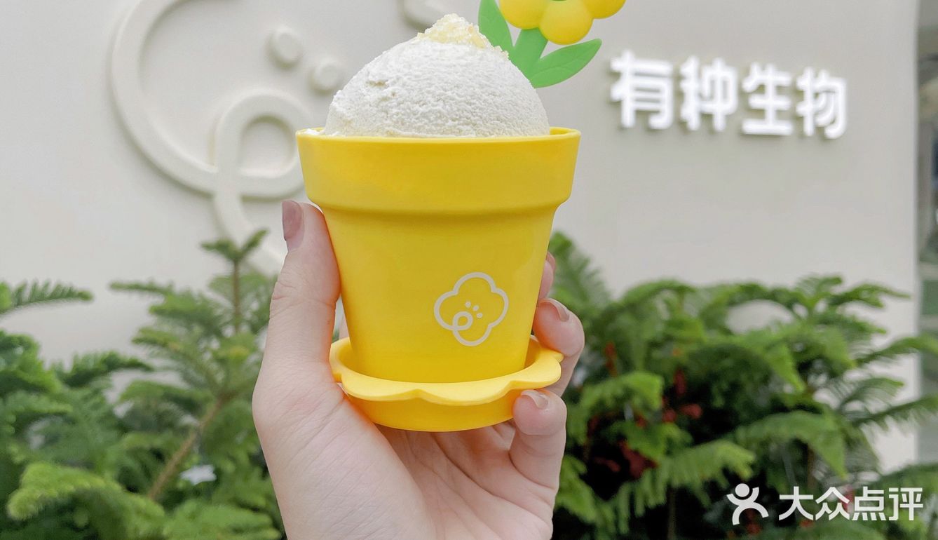 美林有个鱼世界
