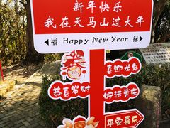 -上海佘山国家森林公园天马山园