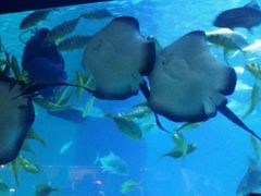 -常州海昌海洋探索馆