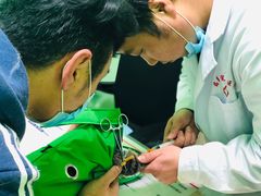 -圣宠动物医院·犬猫专科·影像中心·外科中心