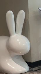 -玛莲朵·海菲秀冰珀科