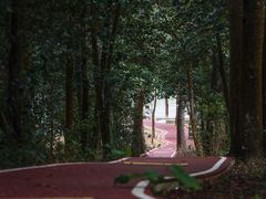 -广州市流溪河国家森林公园