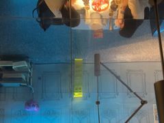 -巴厘龙虾·榜首油焖大虾(洞庭·艺术洋房店)