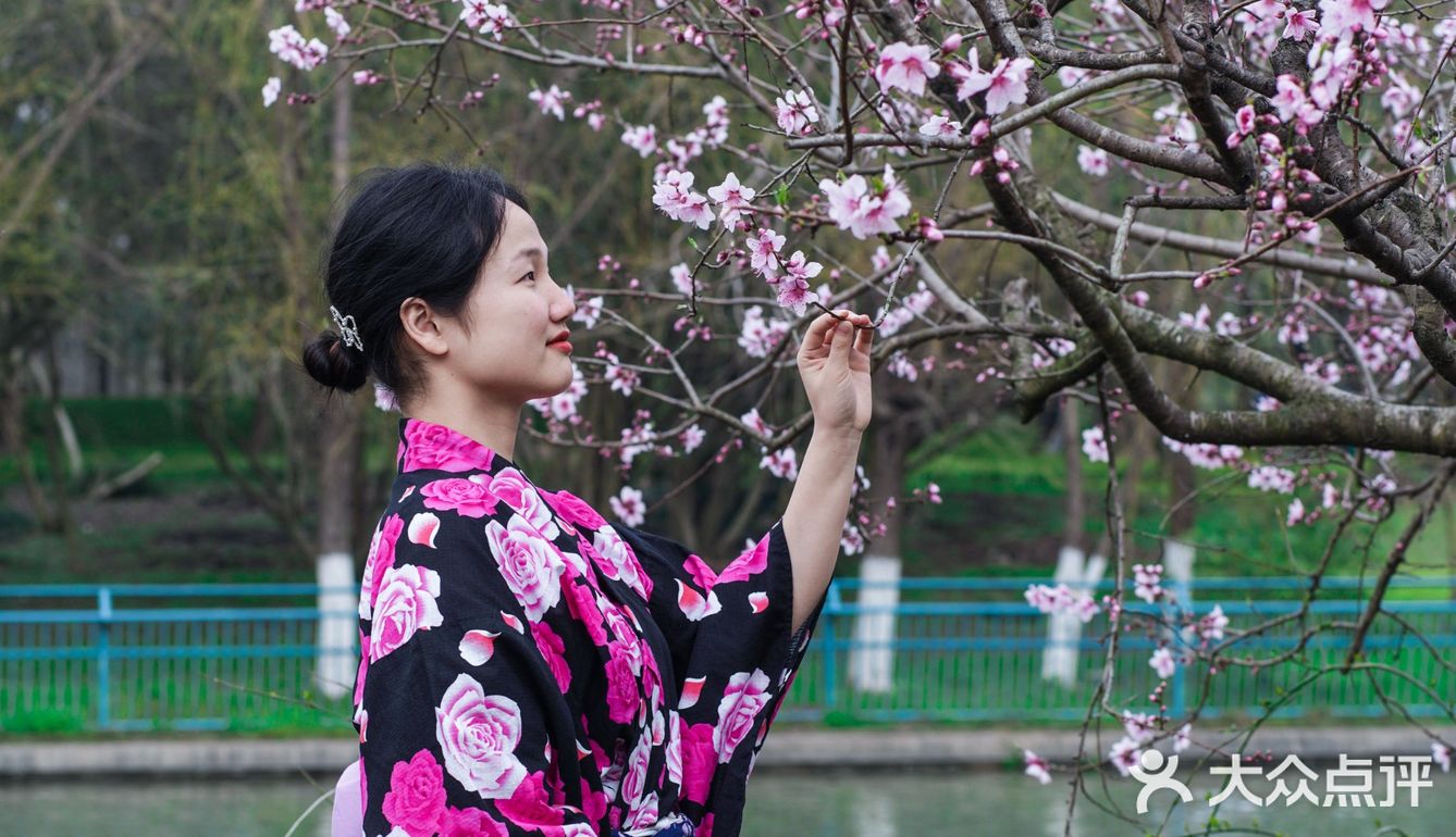 听说今年世纪公园种了一片彩色油菜花,果断安排上!