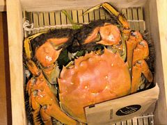 -V Bar海景扒房(北海湾惠龙万达嘉华酒店)