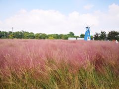 -鹅湖玫瑰文化园