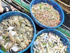 -胖嫂海鲜饭店