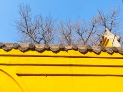 -宝通禅寺